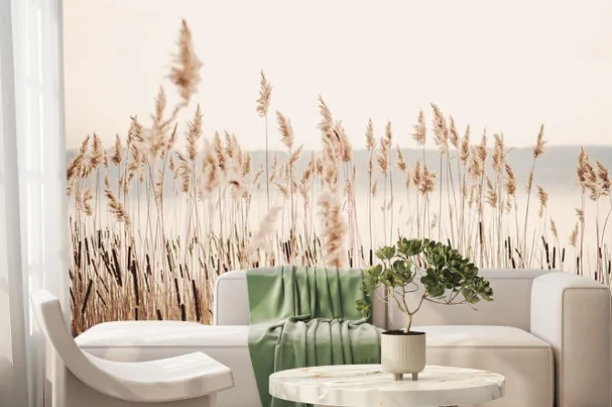 Fototapeta: Pejzaż jeziora z wysokimi trawami