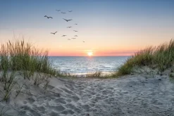 Fototapeta: Piaszczyste wydmy nad morzem i zachód słońca