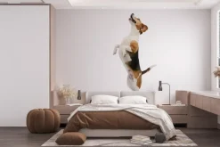 Fototapeta: Pies beagle w skoku na białym tle efekt 3d