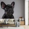 Fototapeta: Pies buldog francuski szczeniak
