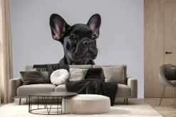 Fototapeta: Pies buldog francuski szczeniak