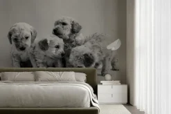 Fototapeta: Pies pudel miniaturowy szczeniak