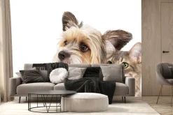 Fototapeta: Piesek i kot portret na białym tle