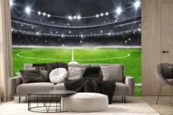 Fototapeta: Piłka nożna na stadionie