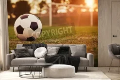 Fototapeta: Piłka nożna w zachodzie słońca