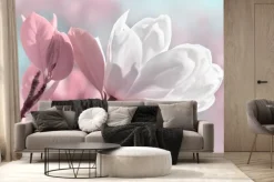 Fototapeta: Piękne białe i różowe kwiaty magnolii