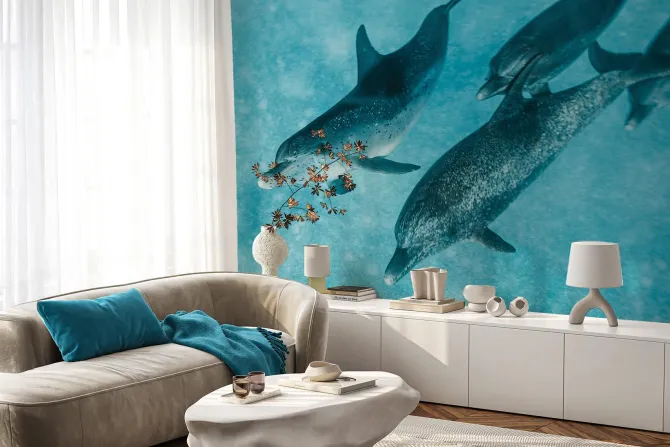 Fototapeta: Piękne delfiny pływające w morzu