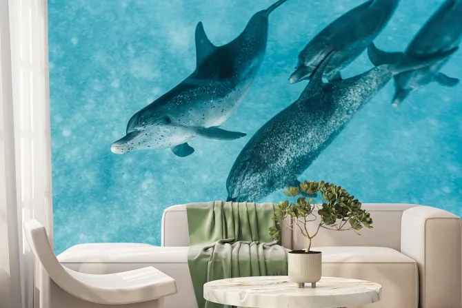 Fototapeta: Piękne delfiny pływające w morzu