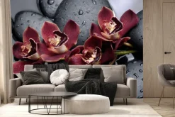 Fototapeta: Piękne storczyki na czarnych kamieniach