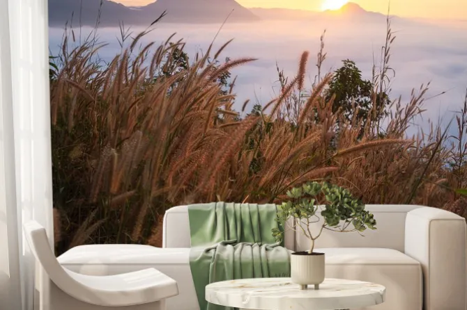 Fototapeta: Piękny krajobraz dużo mgły phu thok