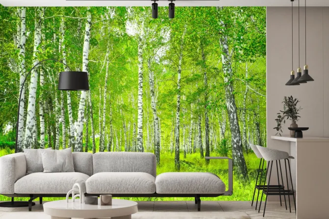 Fototapeta: Piękny krajobraz drzewa w lesie brzozowym