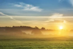 Fototapeta: Piękny letni wschód słońca nad polami