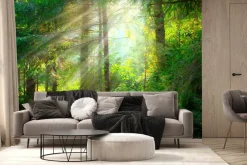 Fototapeta: Piękny mglisty krajobraz zielony las