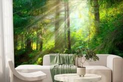 Fototapeta: Piękny mglisty krajobraz zielony las