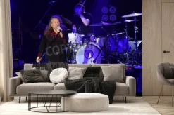 Fototapeta: Pilsen, republika czeska - 27 lipca 2016 r .: słynny wokalista