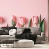 Fototapeta: Pink tulip pastel pink background seasonal blooms captures the