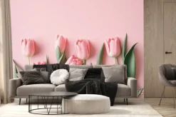 Fototapeta: Pink tulip pastel pink background seasonal blooms captures the