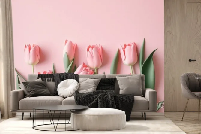 Fototapeta: Pink tulip pastel pink background seasonal blooms captures the