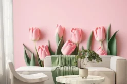 Fototapeta: Pink tulip pastel pink background seasonal blooms captures the