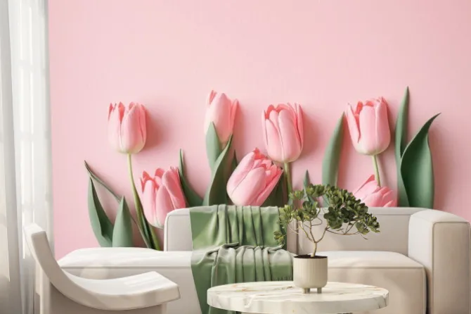 Fototapeta: Pink tulip pastel pink background seasonal blooms captures the
