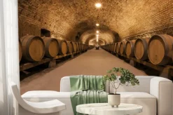 Fototapeta: Piwnica z winem