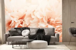 Fototapeta: Piwonia kwiaty kwitnące w ogrodzie.