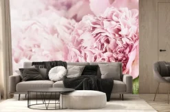 Fototapeta: Piwonie i światło słoneczne