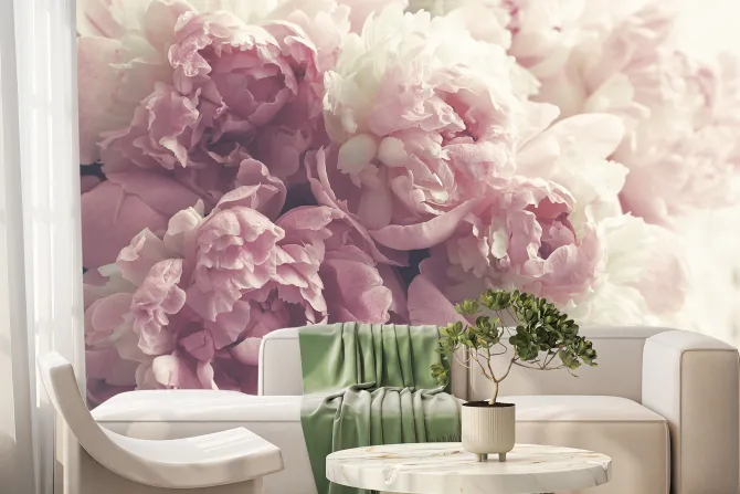 Fototapeta: Piwonie z bliska w stylu vintage