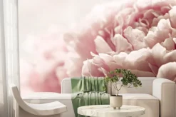 Fototapeta: Pąk różowej piwonii w ujęciu makro