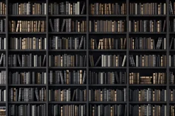 Fototapeta: Półki na książki w bibliotece ze starymi książkami 3d