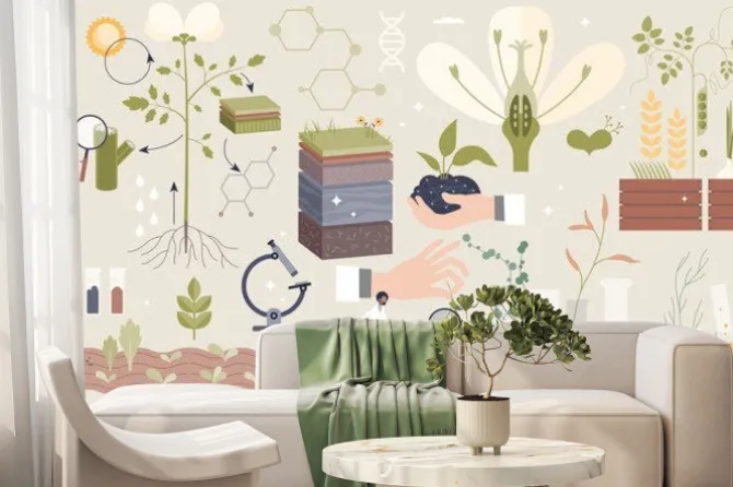 Fototapeta: Plant biology with scientific organic research tiny person collection