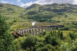 Fototapeta: Pociąg jadący po moście wśród gór