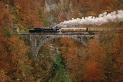 Fototapeta: Pociąg na moście w jesiennym lesie