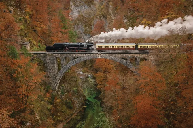 Fototapeta: Pociąg na moście w jesiennym lesie