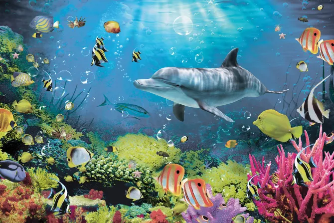 Fototapeta: Podwodny świat rafy z kolorowymi rybami