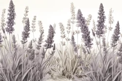 Fototapeta: Polana z kwiatami lawendy