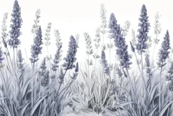 Fototapeta: Polana z kwiatami lawendy