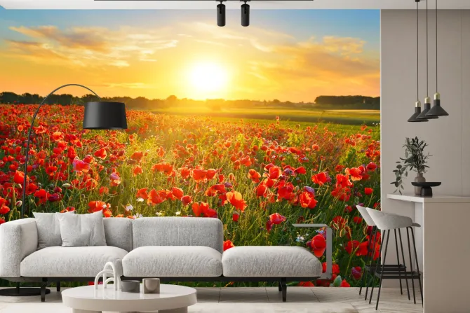 Fototapeta: Pole maków o wschodzie słońca letni krajobraz