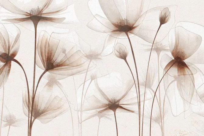 Fototapeta: Polne kwiaty w eleganckim stylu