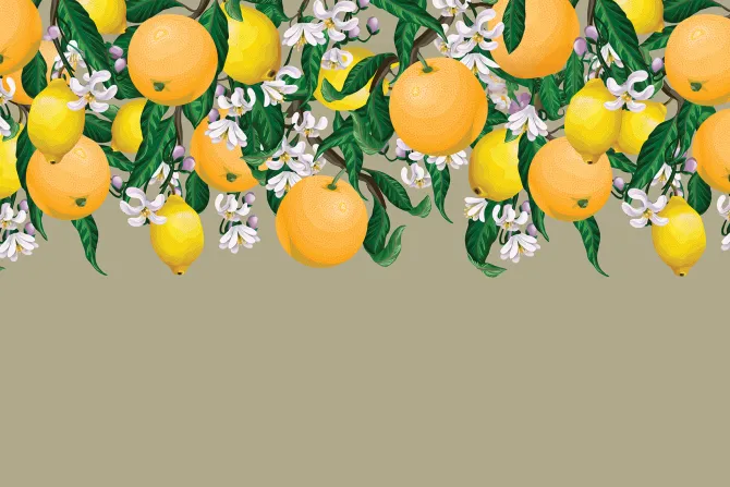 Fototapeta: Pomarańcze i cytryny wśród liści i kwiatów