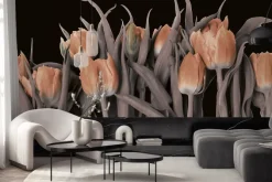 Fototapeta: Pomarańczowe tulipany na czarnym tle