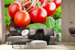 Fototapeta: Pomidory i bazylia