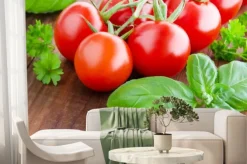 Fototapeta: Pomidory i bazylia