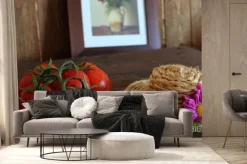 Fototapeta: Pomodoro rosso grappolo varietà piccadilly