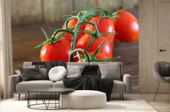 Fototapeta: Pomodoro rosso grappolo varietà piccadilly