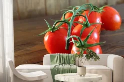 Fototapeta: Pomodoro rosso grappolo varietà piccadilly