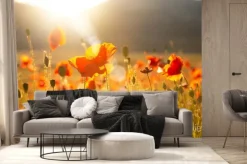 Fototapeta: Poppies and other summer wild flowers field in sunlight