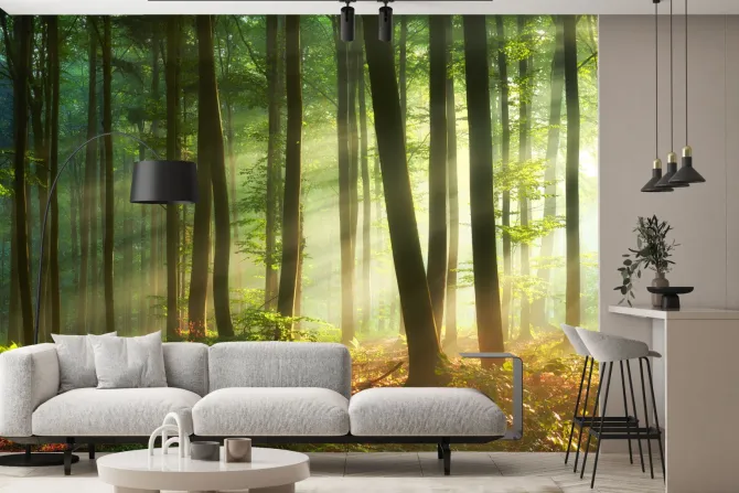 Fototapeta: Poranek w mglistym lesie naturalny krajobraz