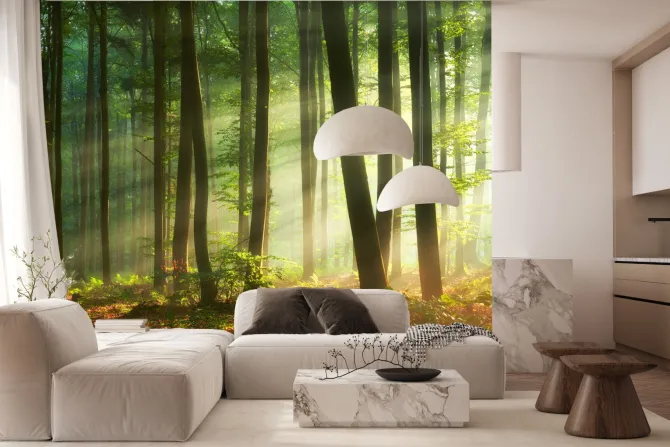 Fototapeta: Poranek w mglistym lesie naturalny krajobraz