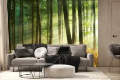 Fototapeta: Poranek w mglistym lesie naturalny krajobraz